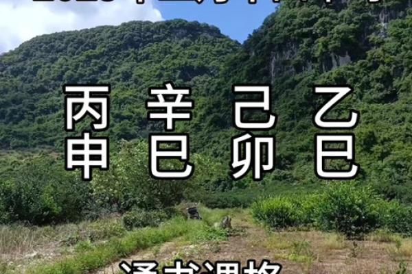 7月动土黄道吉日查询2025年(7月动土黄道吉日查询2025年搬家)