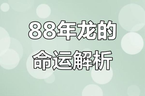 1988年属龙乔迁新居吉日(88年属龙的房子吉方位)