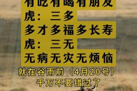 1998年属虎2025年搬家吉日(1998年2025年属虎人的全年运势)