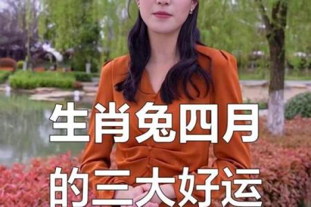1987年兔子2024年搬家吉日(1987年兔2024年运势如何)