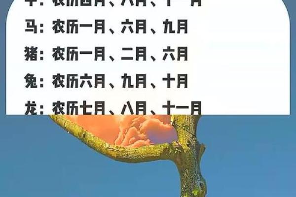 7月生孩子最吉利的三个日子