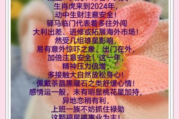 2024年属虎搬家吉日(2024属虎搬家吉日查询表)