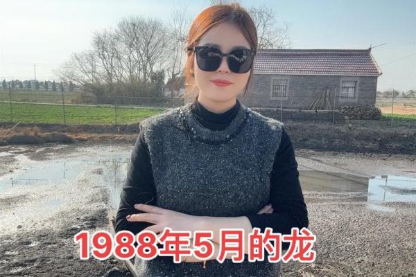 1988年属龙搬家吉日(1988年属龙搬家吉日是哪几天)