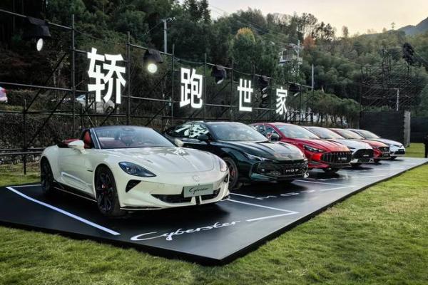 2025年7月提车吉日权威发布