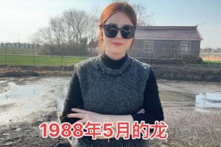 1988年属龙搬家吉日(1988年属龙搬家吉日是哪几天)