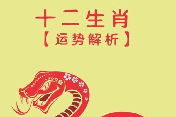 1963年属兔人搬家吉日(1963年属兔的在2025年好不好)