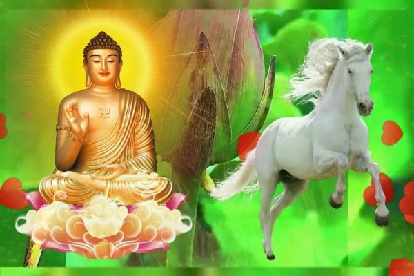 1990的马的今年搬家吉日(1990年属马的人什么时候可以转运)