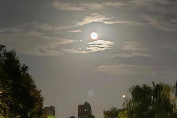 8月15的月亮(8月15的月亮为什么那么圆)