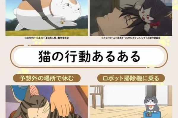 8月8号是什么日子(8月8号是什么日子猫咪)