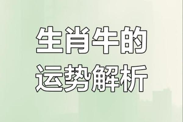 1973属牛最佳配偶 1973属牛配什么属相