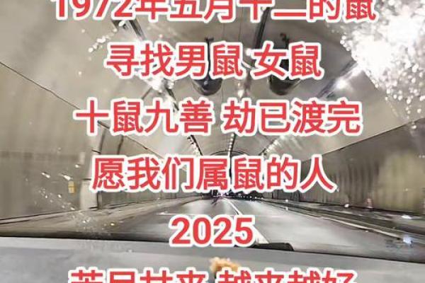 1972属鼠大忌颜色 1972年属鼠忌讳什么颜色