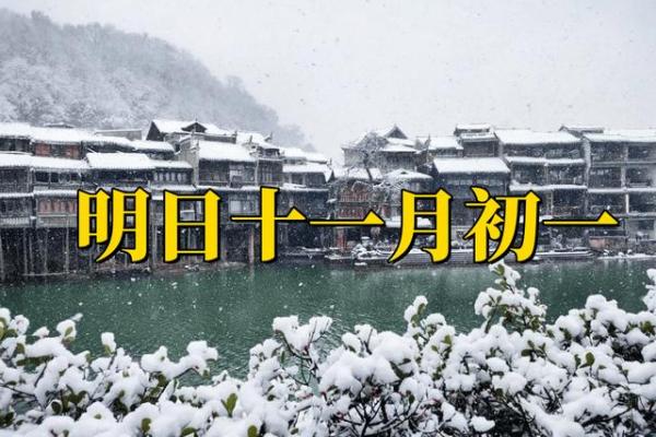 11月5日是什么日子 11月5日什么日子是