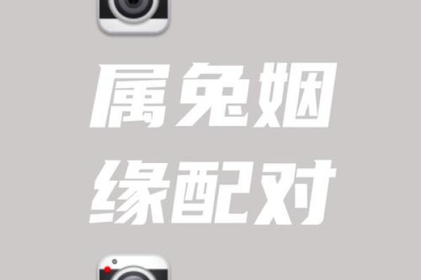 1963年属相婚配 63年属兔婚配