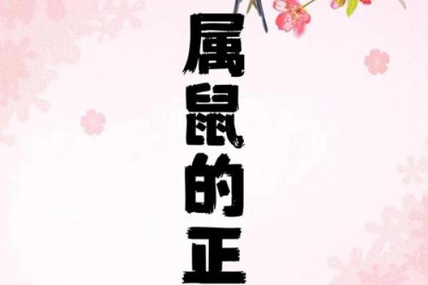 风华绝代指的是哪个生肖，独家秘籍