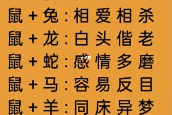 牛羊马弟是一家”打一生肖谜底是什么，实战技巧