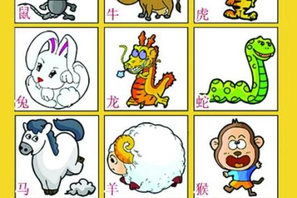 瞻前顾后指的是哪个生肖的性格特点，最新方法分享