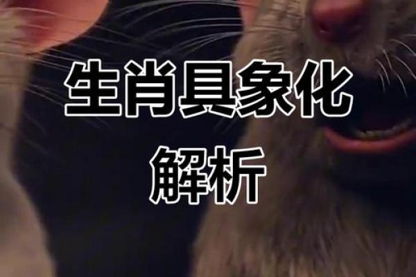 热中名利在十二生肖中象征哪个动物，零氪玩家必备