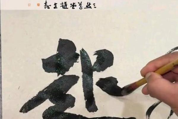 抱瑜握瑾对应的生肖是什么，必看攻略