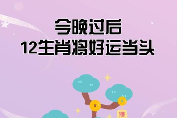 拂袖而起”对应的生肖动物是什么，实战技巧