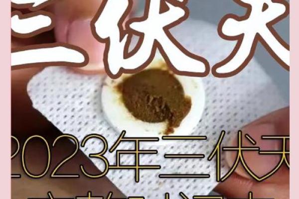 三伏天从什么时候开始 农历三伏天从什么时候开始