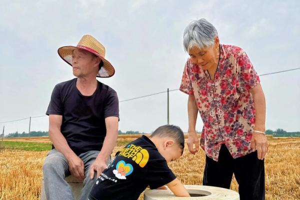 面朝黄土背朝天对应的生肖是什么及其文化寓意解析，新手必学