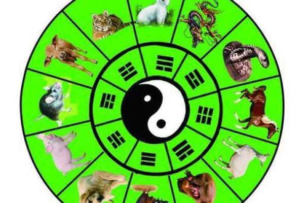 生肖里哪个代表容易受伤或跌打损伤，全解析