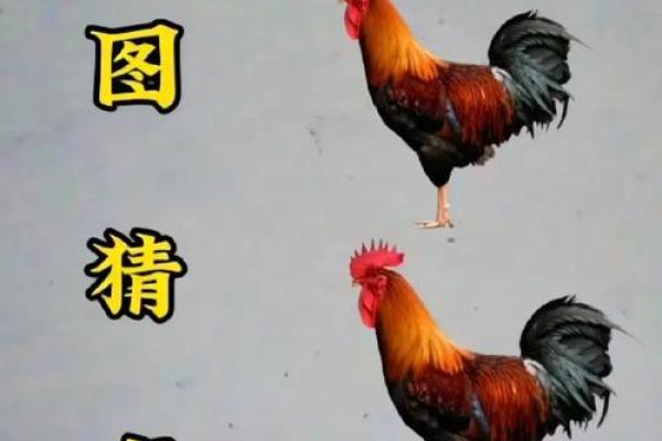 前程似锦打一生肖动物是什么答案及寓意解析，实战技巧