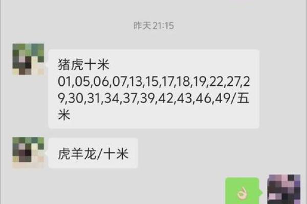 一马当前”打一生肖最佳准确答案及解析，实战技巧