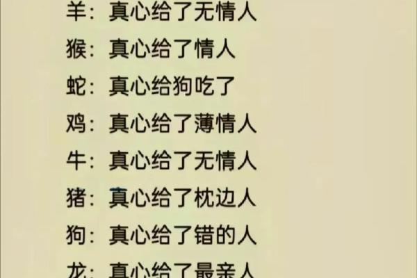 转面无情在十二生肖中代表什么动物，高手技巧