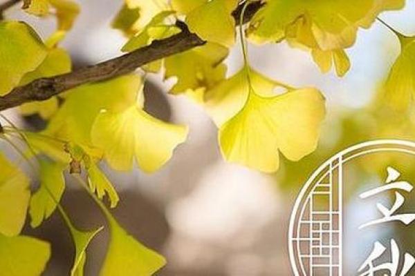 8月8日立秋是早秋还是晚秋(8月8号立秋)