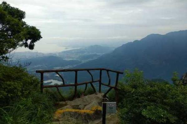 银河倒挂三石梁打一生肖的准确答案及解析，高手技巧