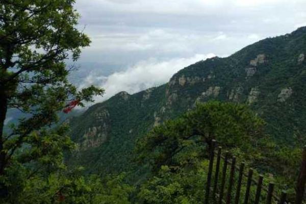 银河倒挂三石梁打一生肖的准确答案及解析，高手技巧