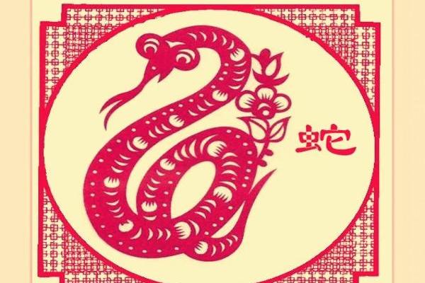 艳阳高照打一生肖动物是什么答案，新手必学