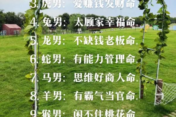 点石成金打一最佳生肖的谜底是什么，全解析