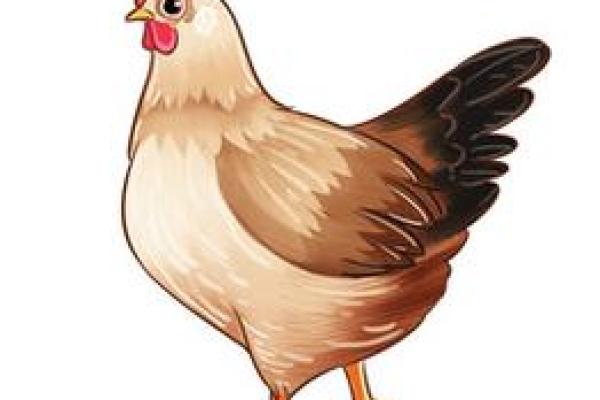 东鳞西爪在十二生肖中代表哪个动物，3分钟速成