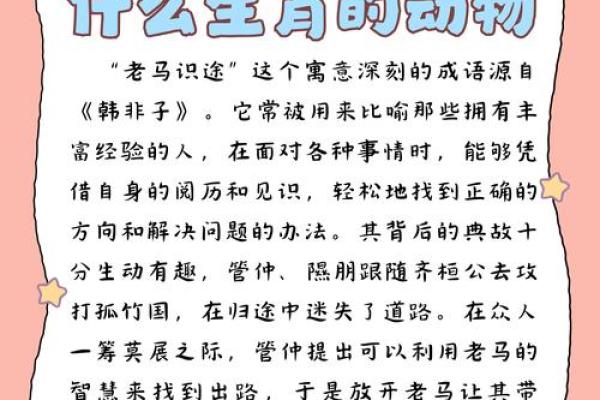 数以万计”打一生肖动物是什么答案及解析,最新方法分享 数以万计”打一生肖动物是什么答案及解析,最新方法分享
