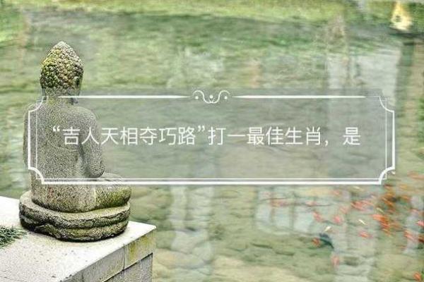 走投无路指的是什么生肖有什么寓意，一篇就够了