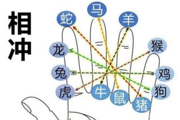 一将功成万骨枯”对应的生肖是什么，一篇就够了