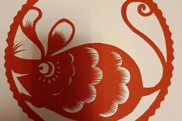 抱团取暖代表哪几个生肖组合最合适，小白也能学会