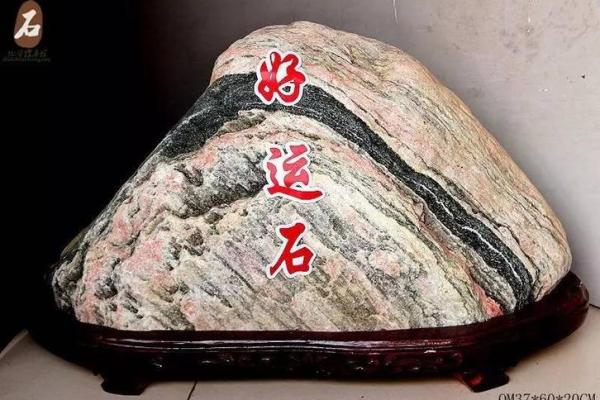 包罗万象对应的生肖是什么，3分钟速成