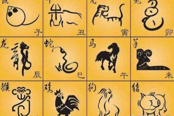包罗万象对应的生肖是什么，3分钟速成