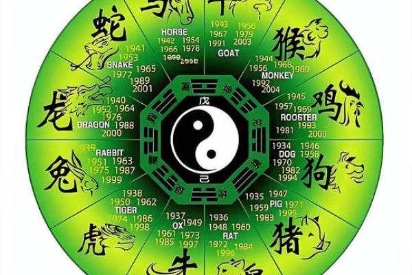 囫囵吞枣谜底生肖解析及文化典故，独家秘籍