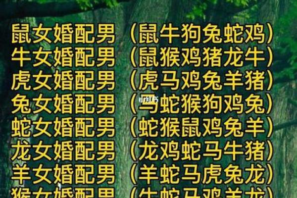 1975年最佳婚配属相 1975年婚配什么生肖