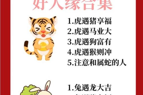 男女平等理念对应的生肖动物象征是什么，实战技巧