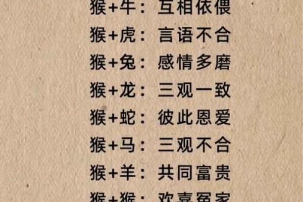 男女平等理念对应的生肖动物象征是什么，实战技巧