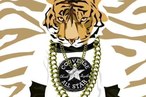 花拳绣腿是打一生肖动物正确答案是什么，不看后悔