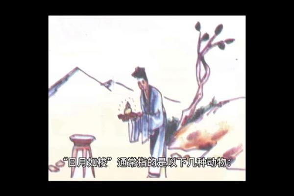 花拳绣腿是打一生肖动物正确答案是什么，不看后悔