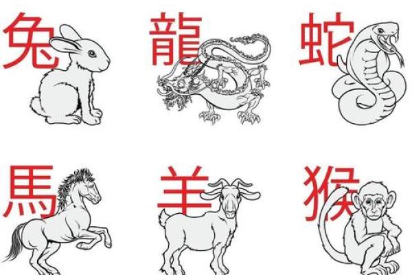 贼走关门在十二生肖中代表哪个动物，详细教程