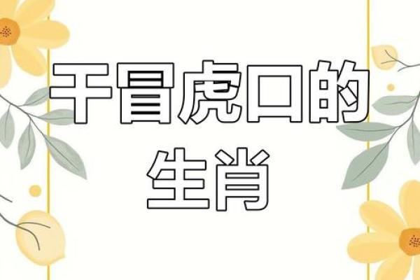 十二生肖中琳琅满目形容什么动物,终极指南 十二生肖中琳琅满目形容什么动物,终极指南