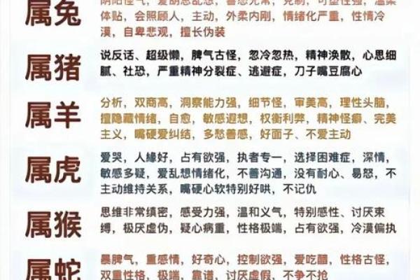 十二生肖中琳琅满目形容什么动物,终极指南 十二生肖中琳琅满目形容什么动物,终极指南